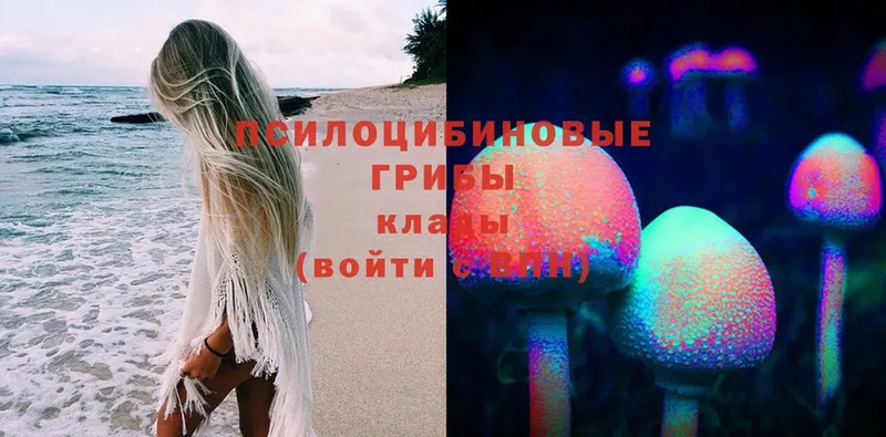 mega вход  Байкальск  Галлюциногенные грибы Magic Shrooms 